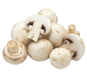 mushroom