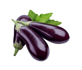 eggplant