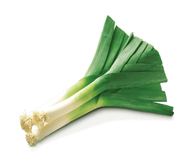 leek