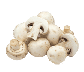 mooshrooms